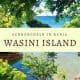 Tagesausflug Kenia: Eine Wasini Island Tour zum Schnorcheln